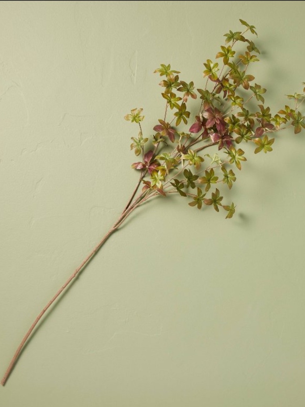 37" Turning Gypsophela XL
Stem - Hearth & Hand™ with Magnolia